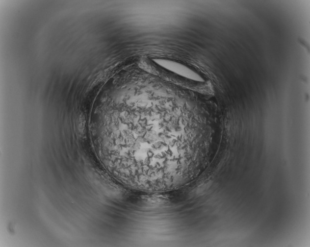 X0000099450359200805231747