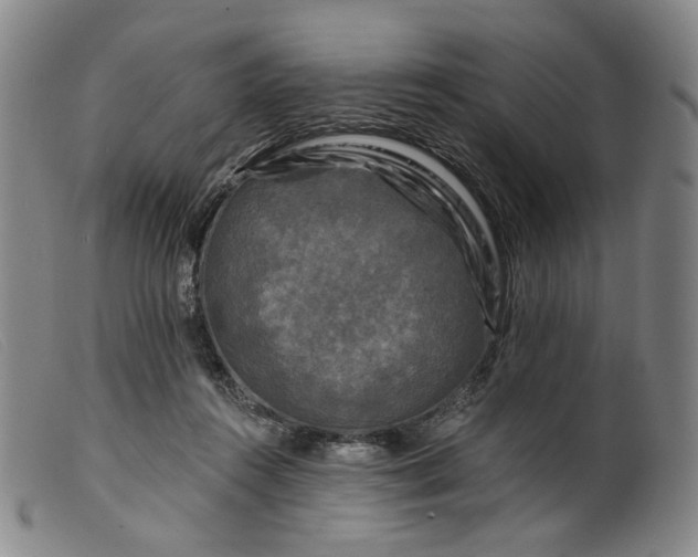 X0000099450360200805231747