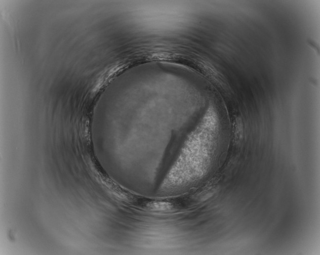 X0000099450361200805231747