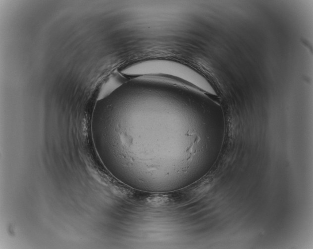 X0000099450362200805231747