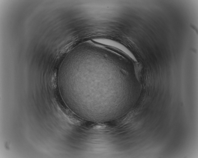 X0000099450364200805231747