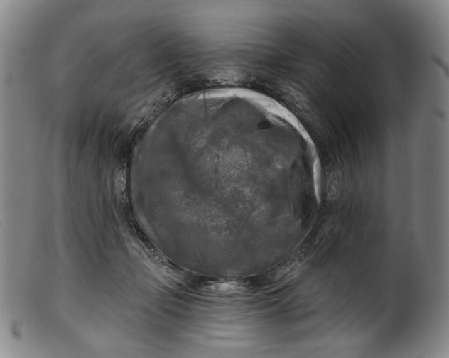 X0000099450365200805231747