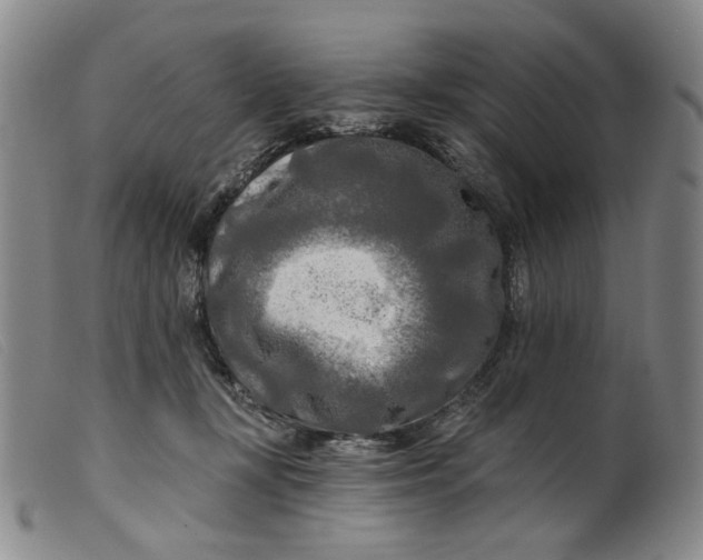 X0000099450367200805231747