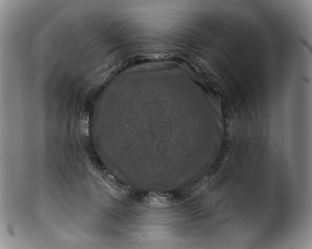 X0000099450368200805231747