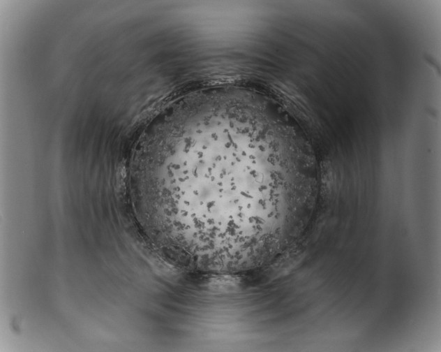 X0000099450369200805231747