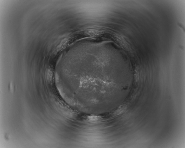 X0000099450371200805231747