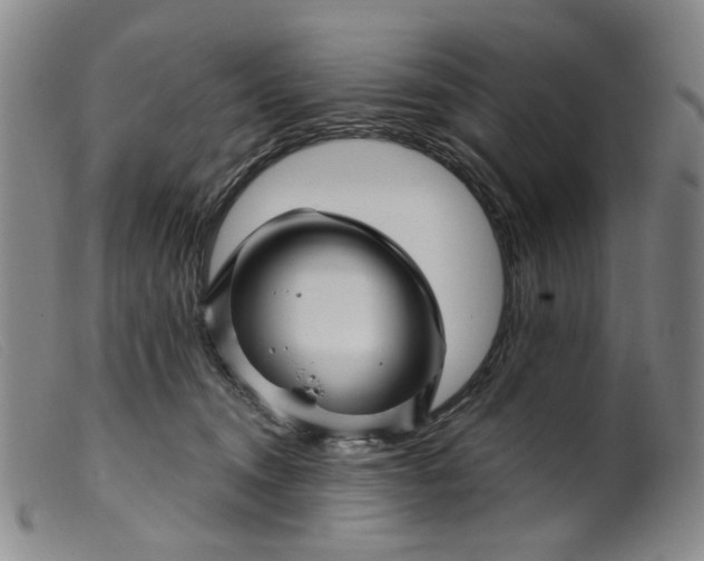 X0000099450372200805231747