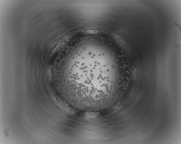 X0000099450373200805231747