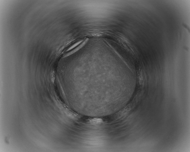 X0000099450374200805231747