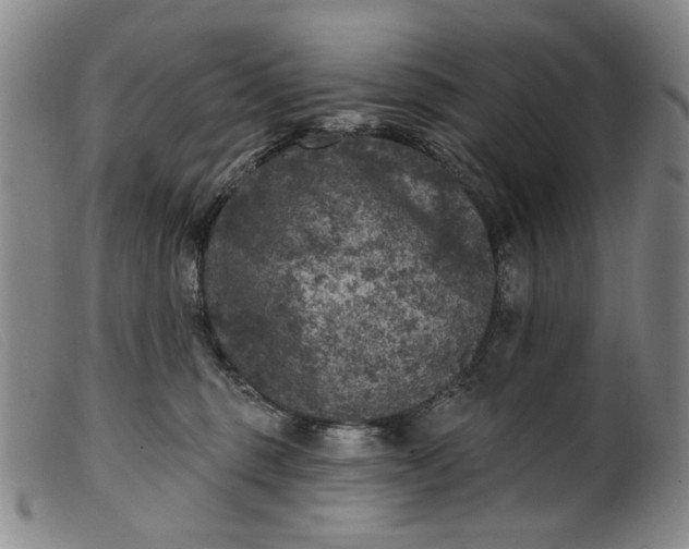 X0000099450375200805231747