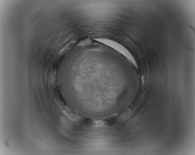 X0000099450376200805231747