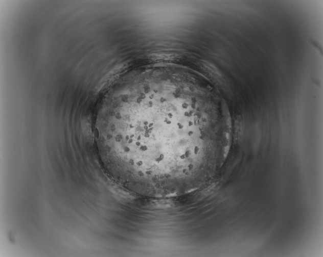 X0000099450377200805231747