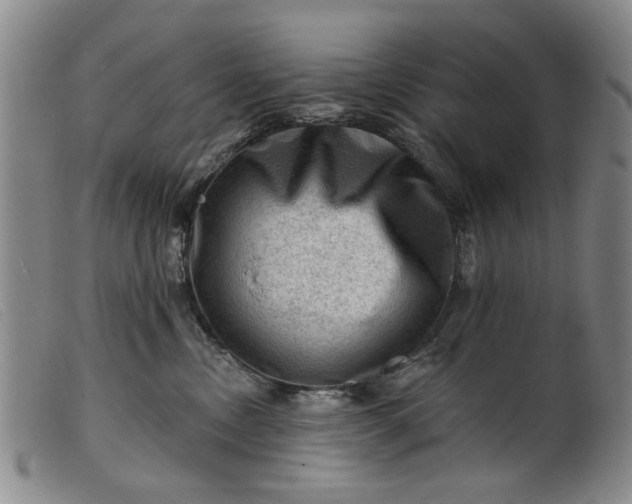 X0000099450378200805231747