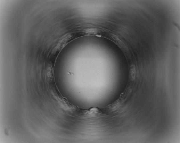 X0000099450379200805231747