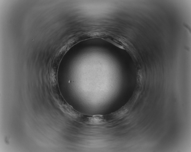 X0000099450380200805231747