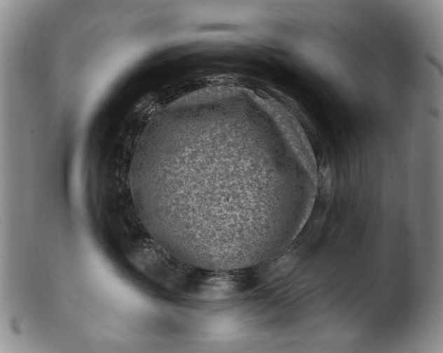 X0000099450381200805231747