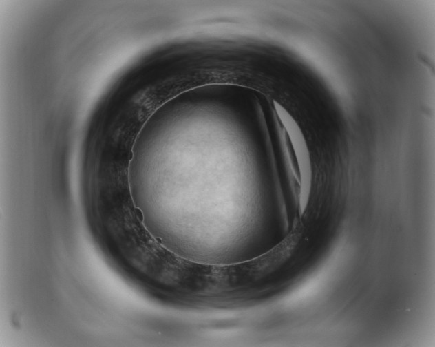 X0000099450383200805231747