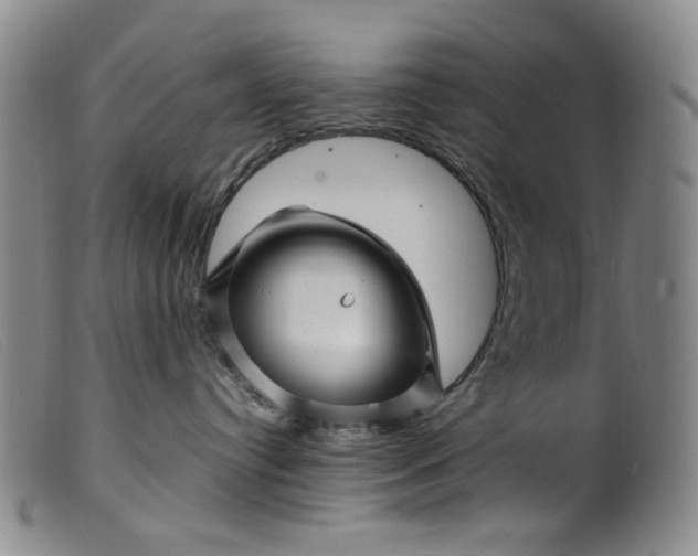 X0000099450384200805231747