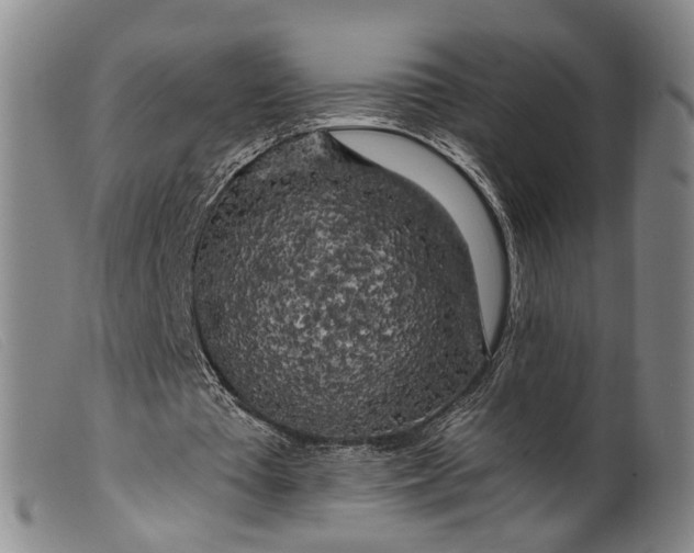 X0000099450385200805231747