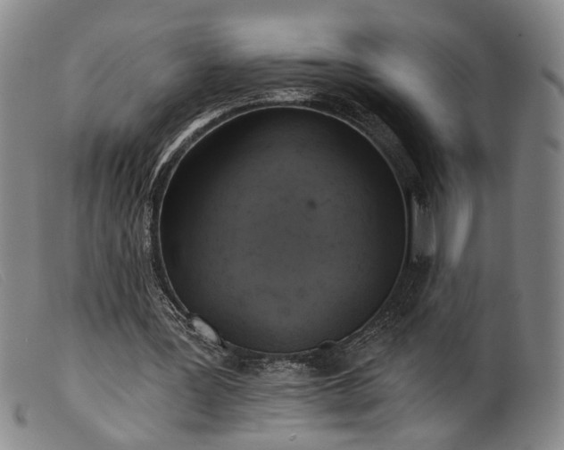 X0000099450387200805231747