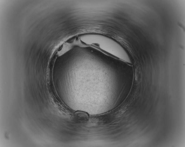 X0000099450388200805231747