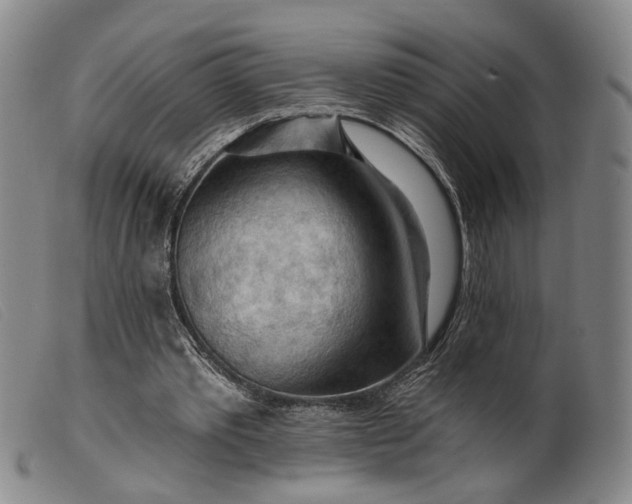 X0000099450389200805231747