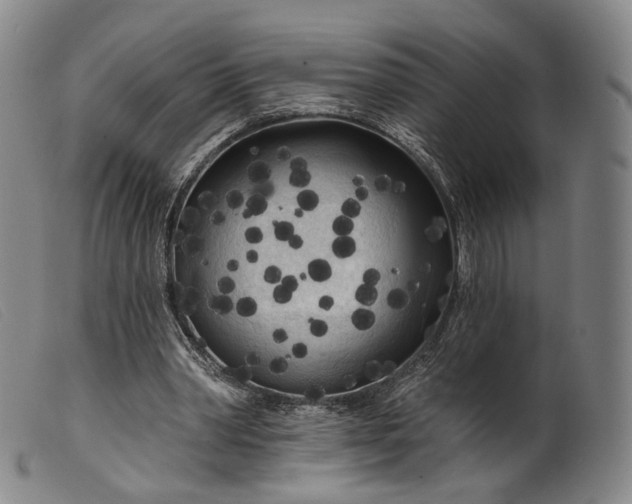 X0000099450390200805231747