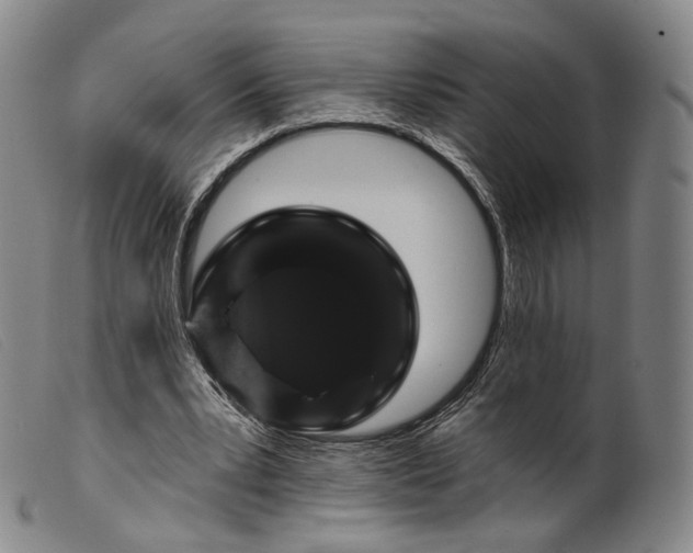 X0000099450391200805231747