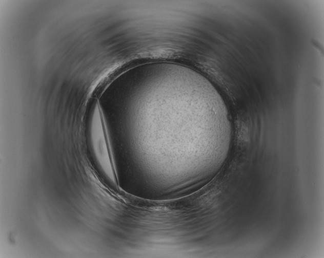 X0000099450392200805231747