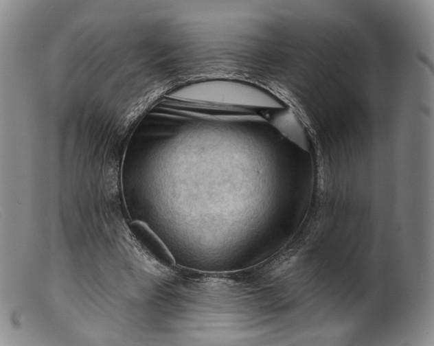 X0000099450393200805231747