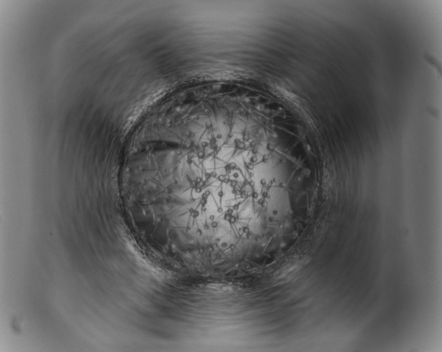 X0000099450394200805231747