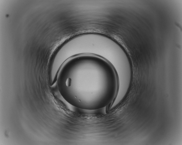 X0000099450395200805231747