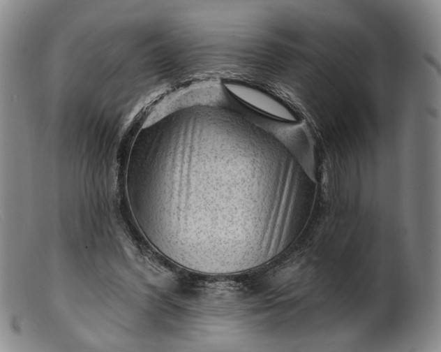 X0000099450396200805231746