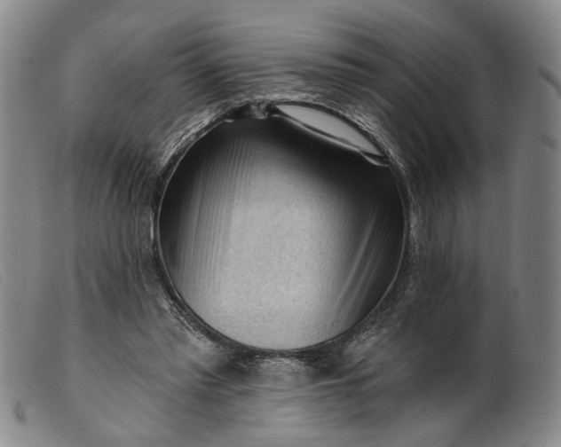 X0000099450397200805231746