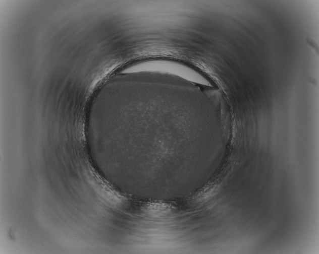 X0000099450399200805231746