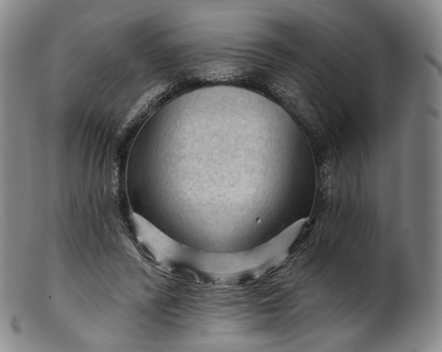 X0000099450400200805231746