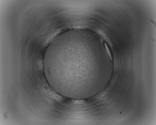 X0000099450401200805231746