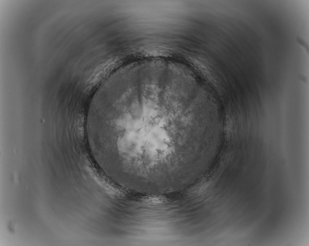 X0000099450402200805231746