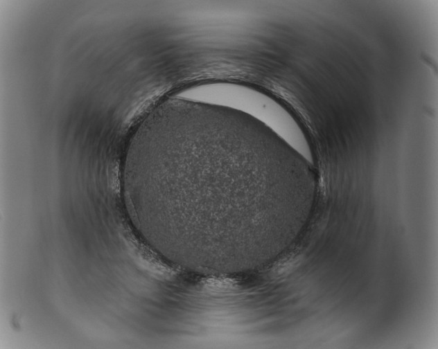 X0000099450403200805231746