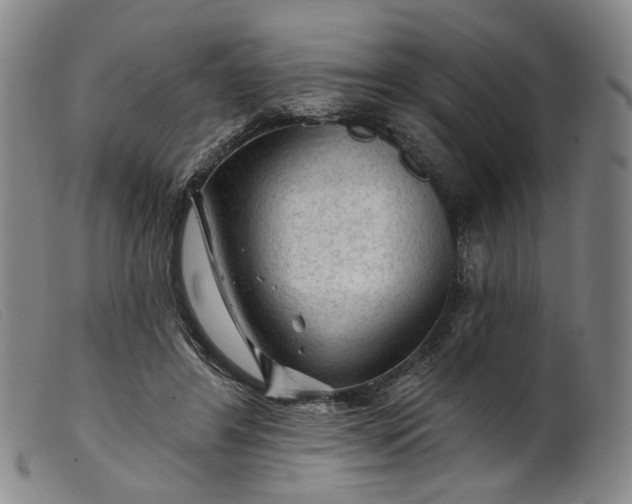 X0000099450404200805231746