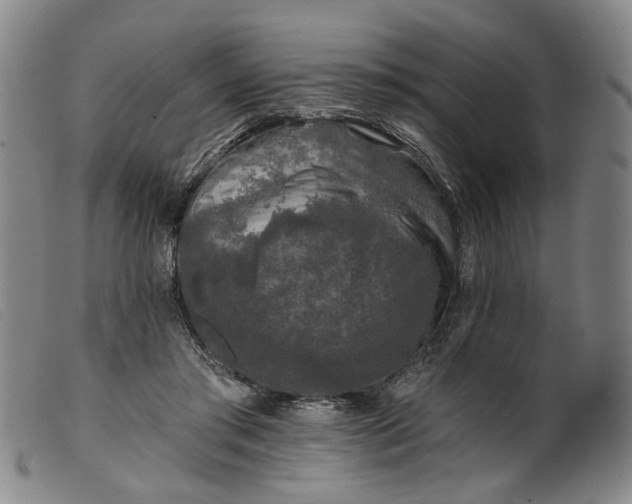 X0000099450405200805231746