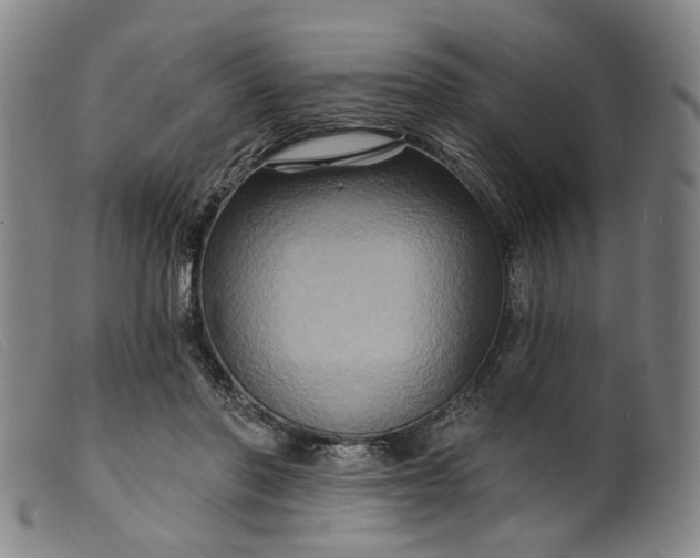 X0000099450406200805231746