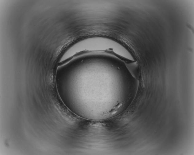 X0000099450407200805231746