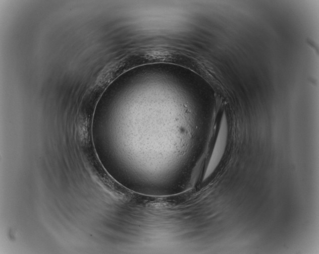 X0000099450408200805231746