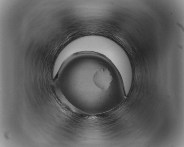 X0000099450409200805231746