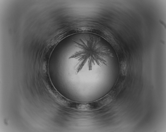 X0000099450410200805231746