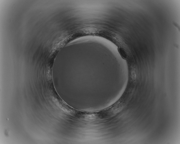 X0000099450411200805231746