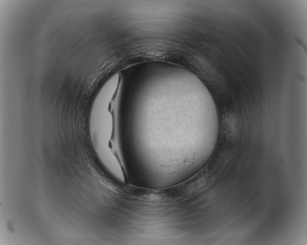 X0000099450412200805231746