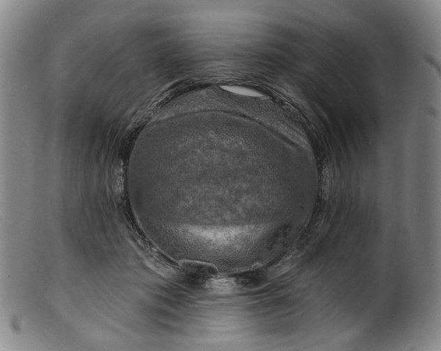 X0000099450413200805231746