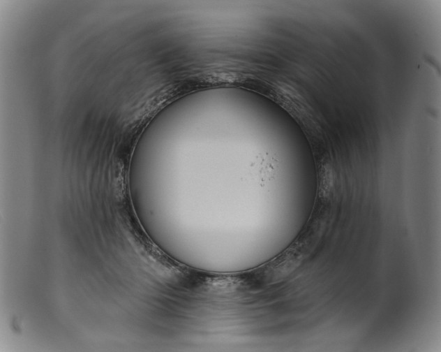 X0000099450414200805231746